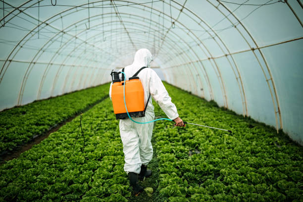 Best Best Pest Control Companies  in East St Louis, IL